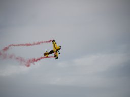 rodenberg2025 44